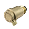 Válvula de ventilação de ar de latão DN15 Exhuast radiador BSP de liberação automática